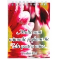 Notes cu arc, Multe sunt minunile...